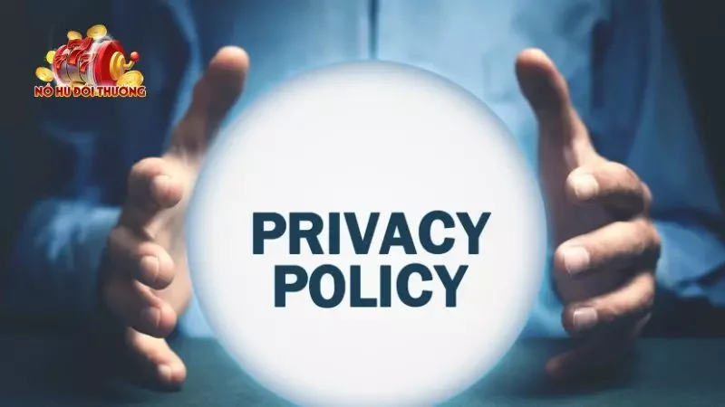 Chi tiết các chính sách người mới cần phải nắm